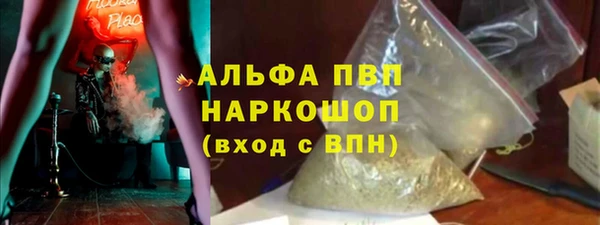 молекула духа Новодвинск