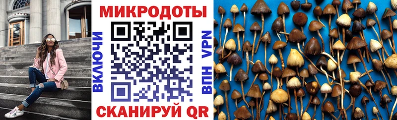 Галлюциногенные грибы GOLDEN TEACHER Новоржев